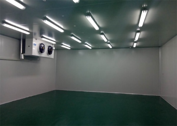 食品公司內建造1000平加工型冷庫大概費用是多少？