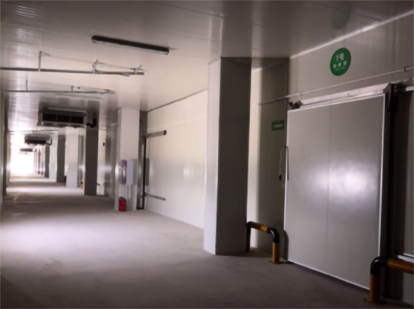 建造200噸的肉類(lèi)冷鏈冷凍庫(kù)如何做好規(guī)劃設(shè)計(jì)？