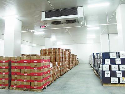 大型蕃茄保鮮冷庫設(shè)計(jì)、西紅柿冷庫保鮮貯藏