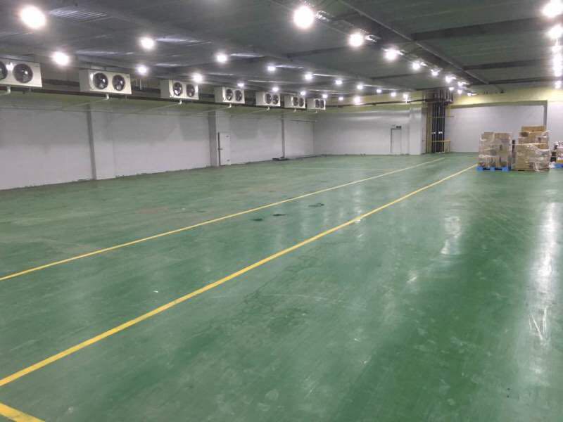 800平蘋果冷庫設(shè)計，水果冷藏庫安裝