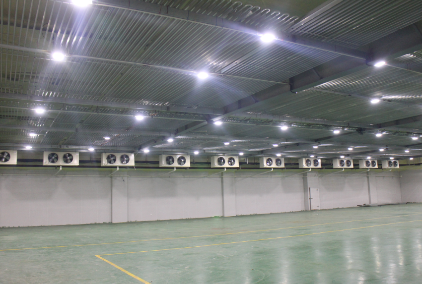  -18~-25℃冷庫(kù)設(shè)計(jì)建造價(jià)格，600噸冷凍庫(kù)造價(jià)