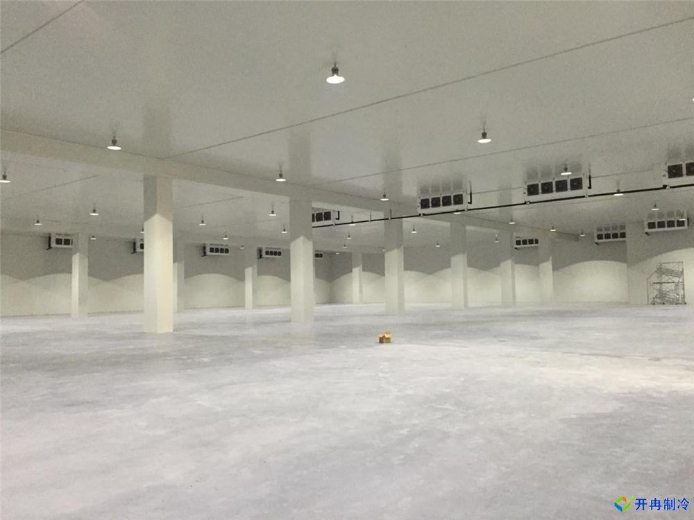 浙江建-60℃金槍魚超低溫冷庫，冷庫總價預(yù)算多少