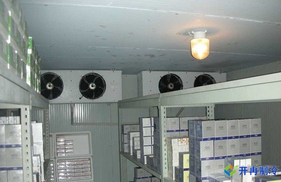 上海藥廠建造-20℃醫藥血漿冷庫，超低溫血漿冷庫定制預算多少